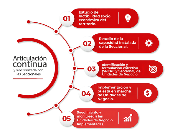 Articulacion continua Cruz Roja Colombiana