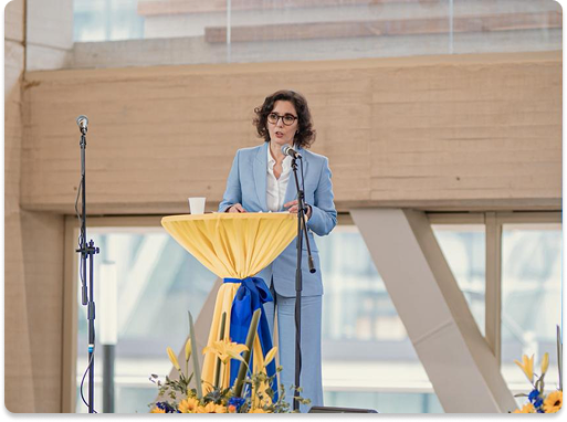 Liderar la accion cruz roja